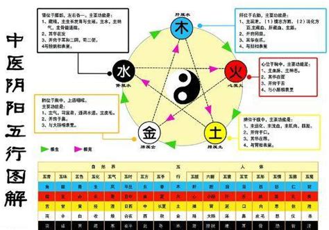 金旺 五行|五行是水生金、还是金旺水 金生水是金旺还是水旺